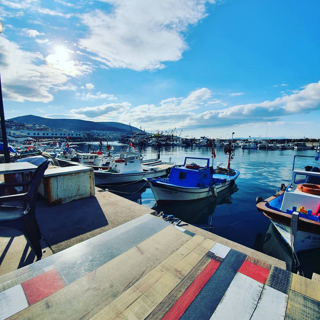 Dikili Limanı — fotoğraf 5