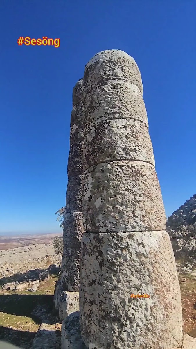 Dikilitaş (Sesönk) — photo 2