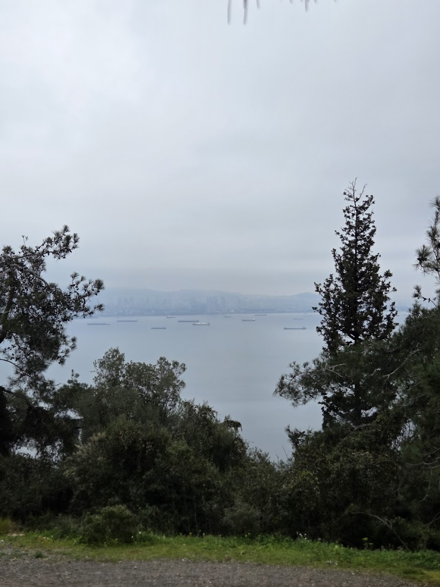 Dilburnu Tabiat Parkı — fotoğraf 3