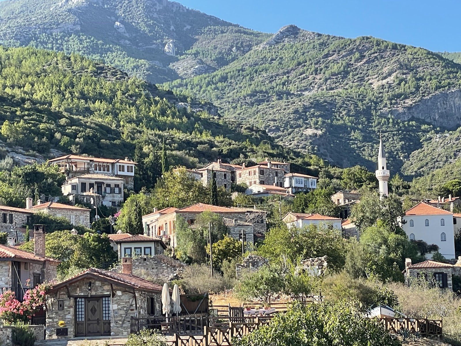 Dilek Yarımadası Büyük Menderes Deltası Milli Parkı — photo 5