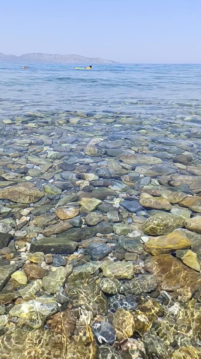 Dilek Yarımadası ve Büyük Menderes Deltası Milli Parkı Gişesi — fotoğraf 2