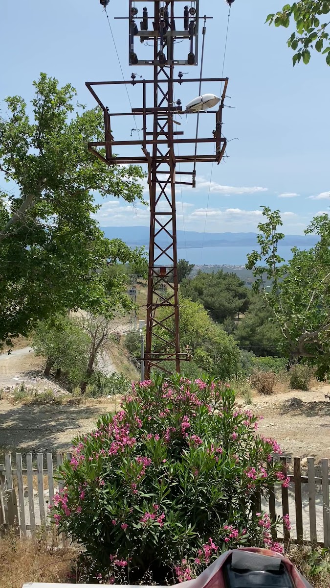 DilekAğacı Kahvaltı Kafe — fotoğraf 3