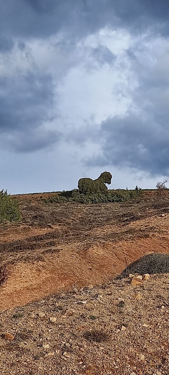 Dinek Dağı Atlı Safari ve Doğa Parkı — fotoğraf 2