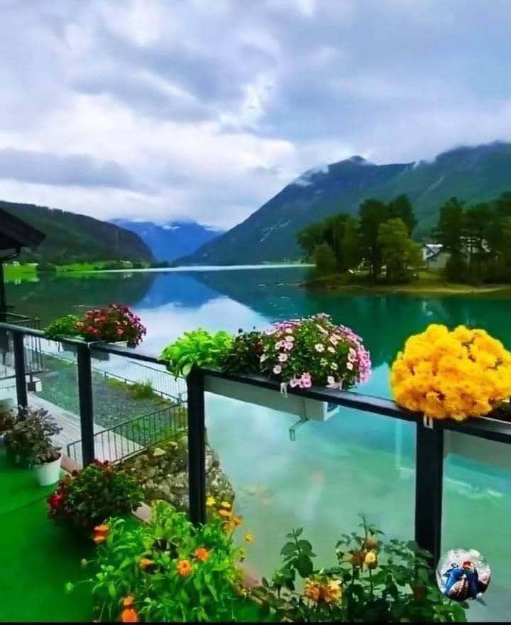 Dinozorlu Park — fotoğraf