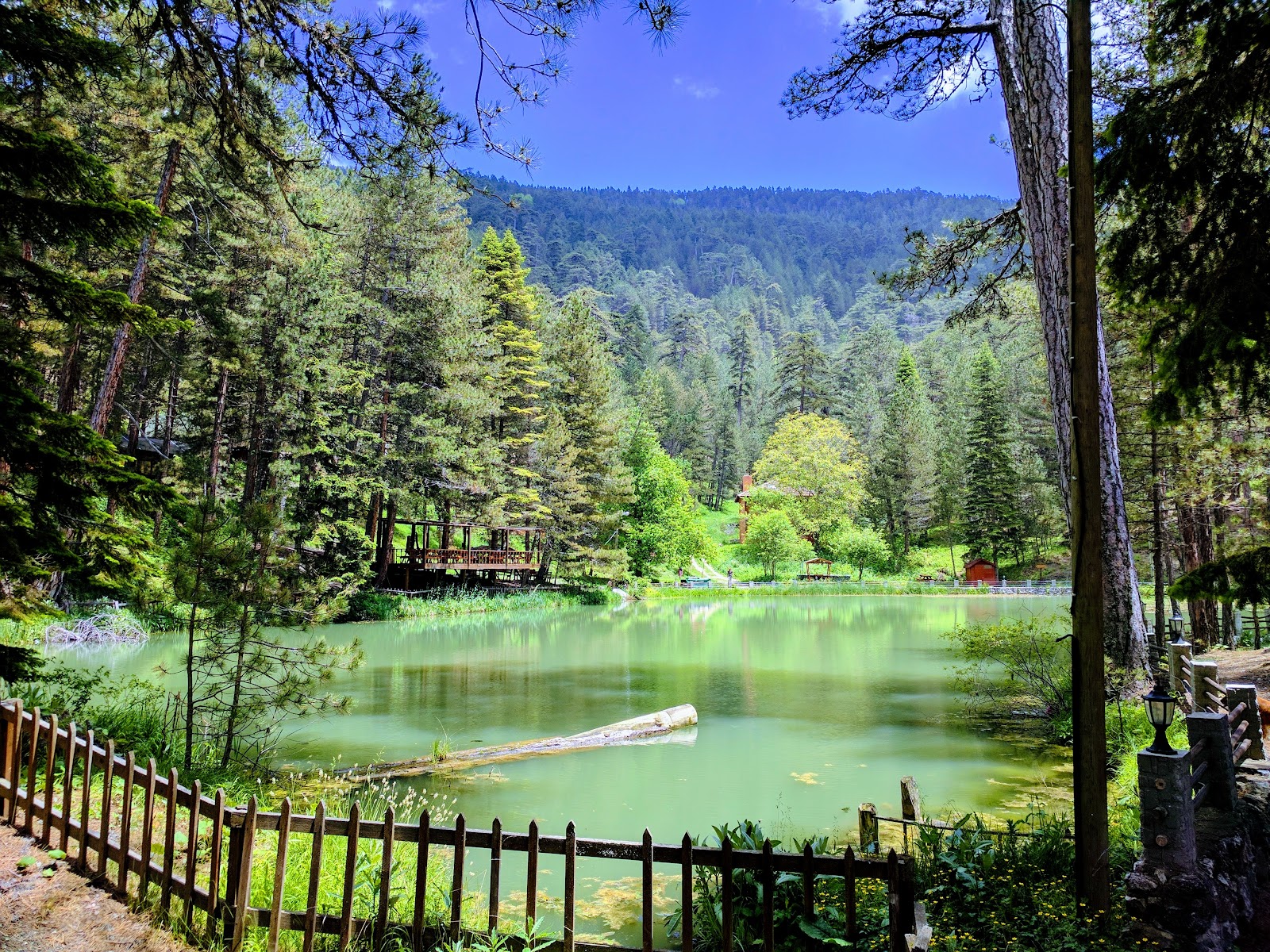 Dipsiz Göl Milli Parkı — fotoğraf