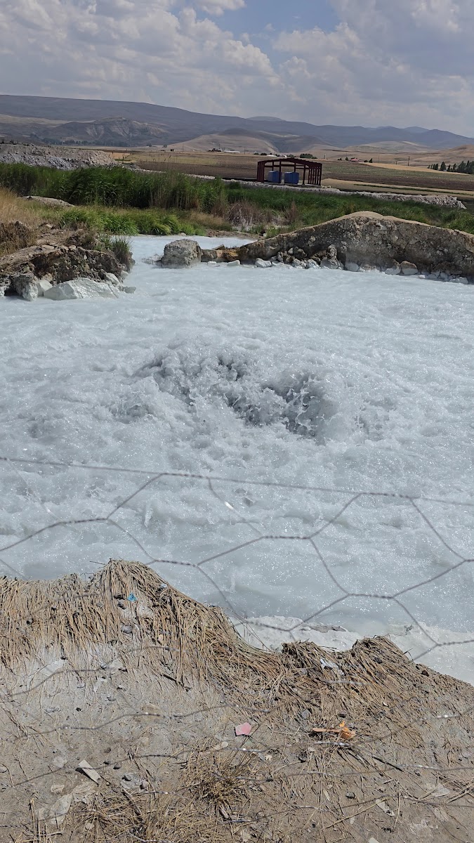 Diyadin Özyaşam Kaplıcaları — fotoğraf 3