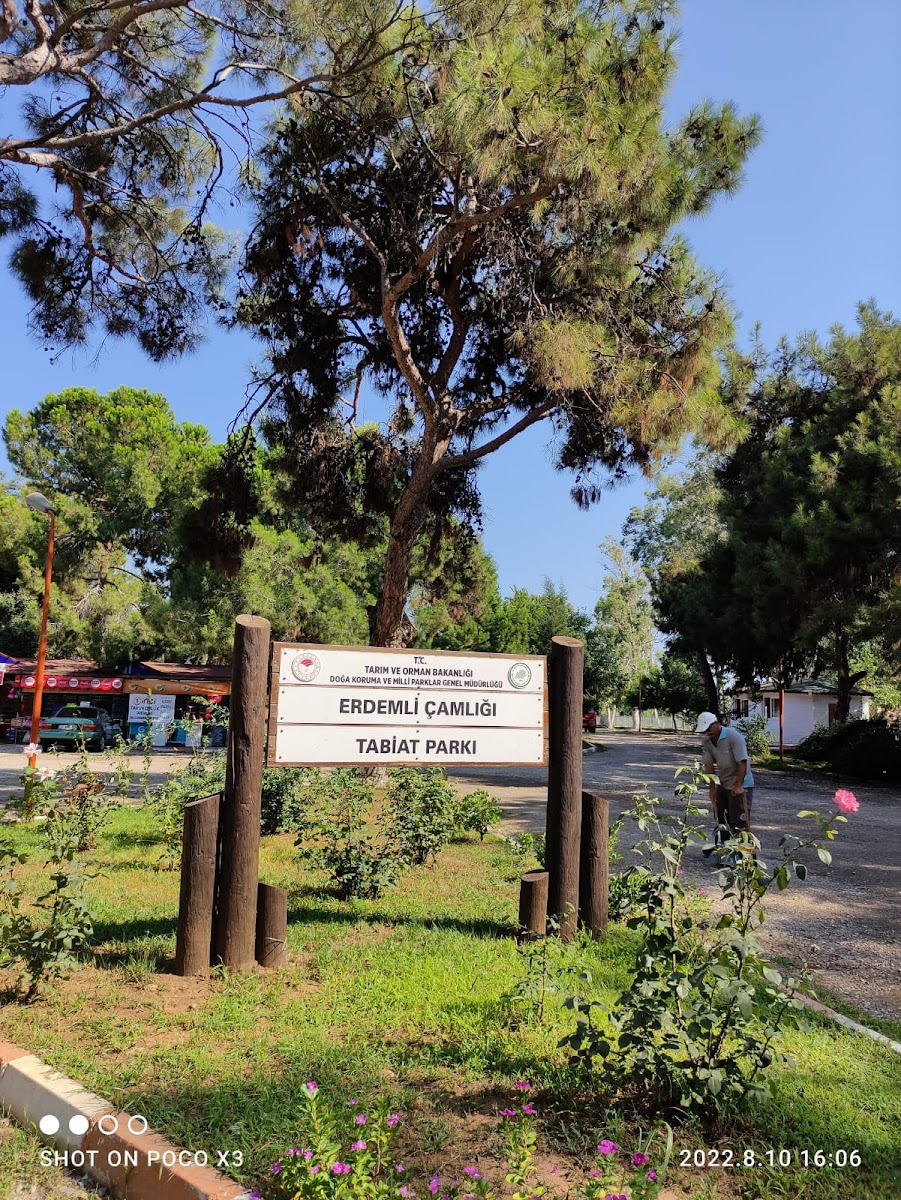Talat Göktepe Milli Parkı — fotoğraf