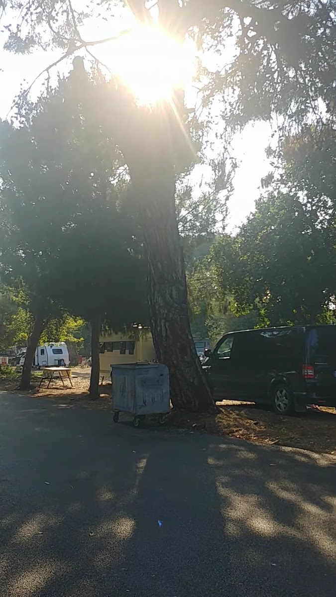 Talat Göktepe Milli Parkı — fotoğraf 2