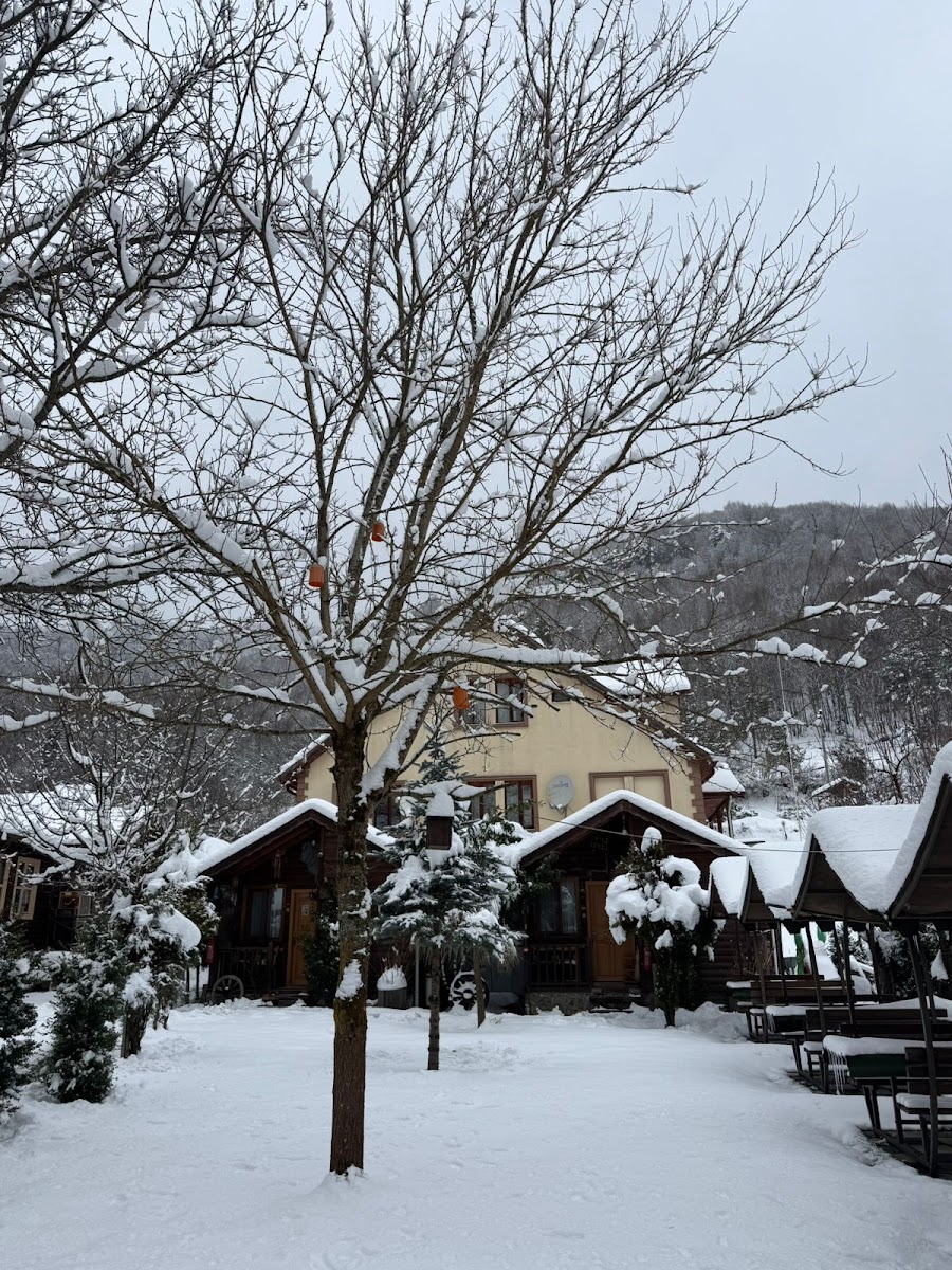 Doğa Köşkü Abant Bungalov Evleri (ALKOLSÜZ) — fotoğraf 2
