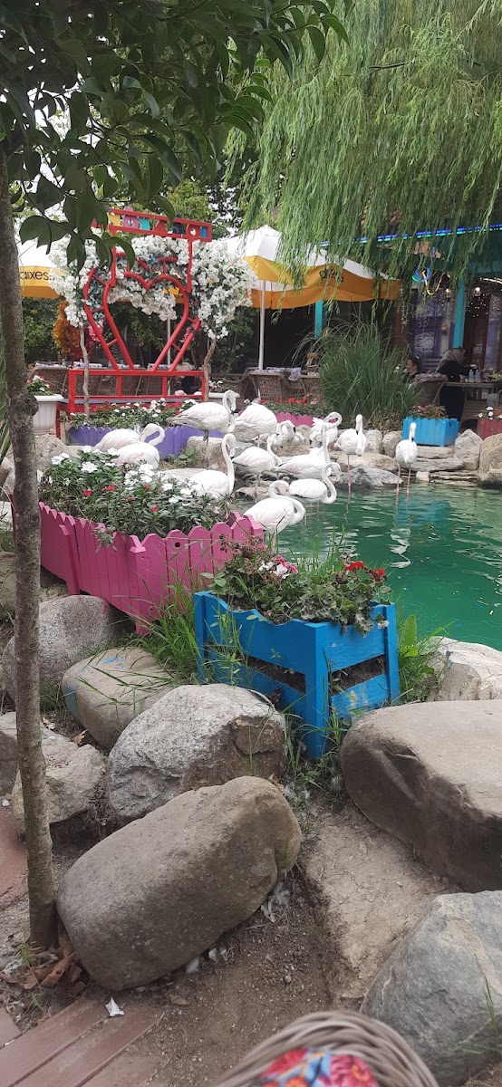 Doğaköyü Çatalca — photo 2