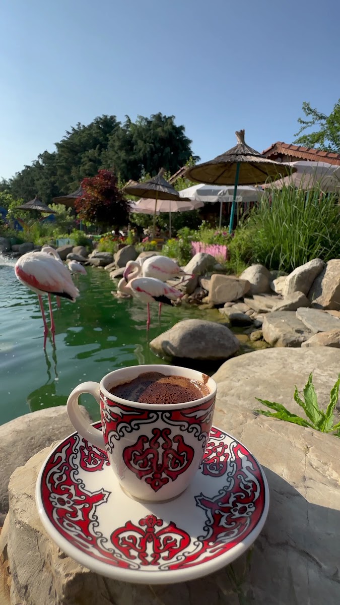 Doğaköyü Çatalca — photo 5