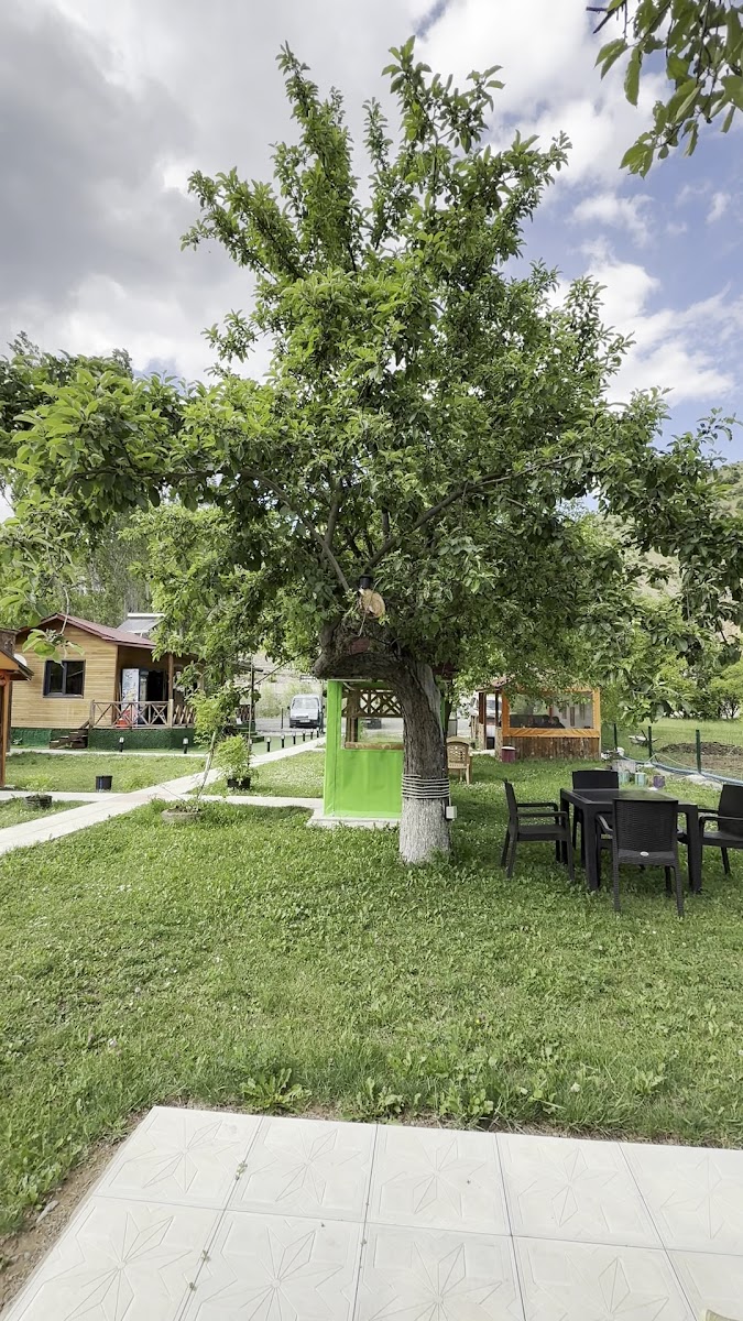 Doğal Bahçe — fotoğraf 4
