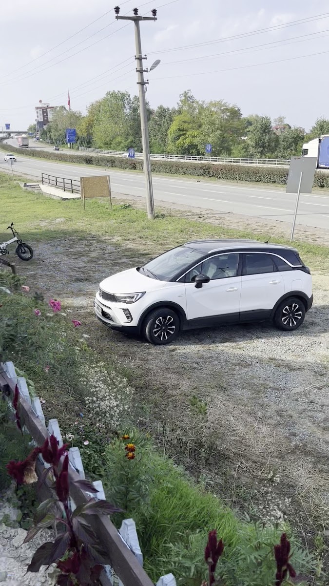 Doğal restoran — fotoğraf 3