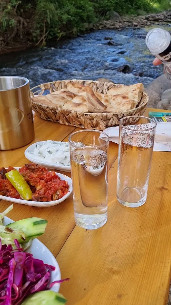 Doğan Alabalık Tesisleri — fotoğraf 3