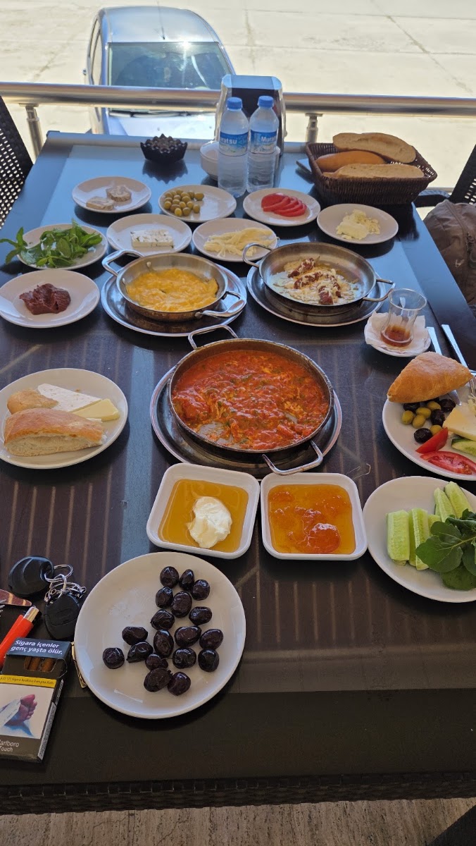 Doğanlar Restoran (Dinlenme Tesisi) — photo 3