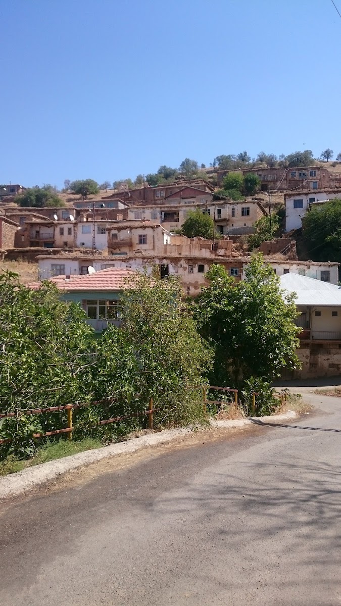 Doğanyol Koop. — photo