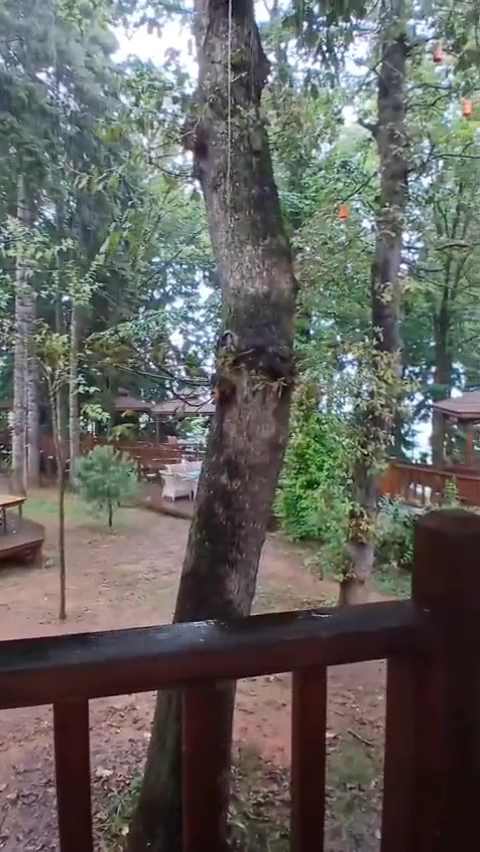 Doğapark Yiğitler Pide Cafe & Restaurant — photo 3