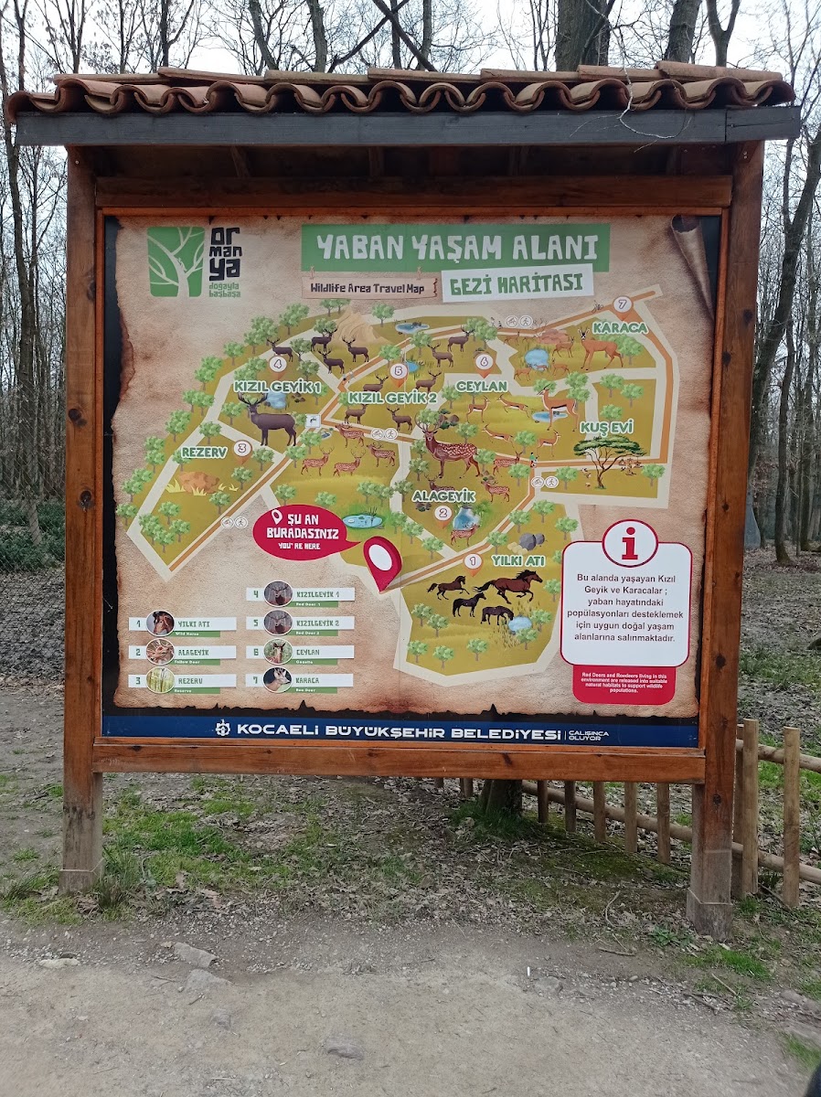 Doğu Kışla Gençlik Parkı — fotoğraf 2