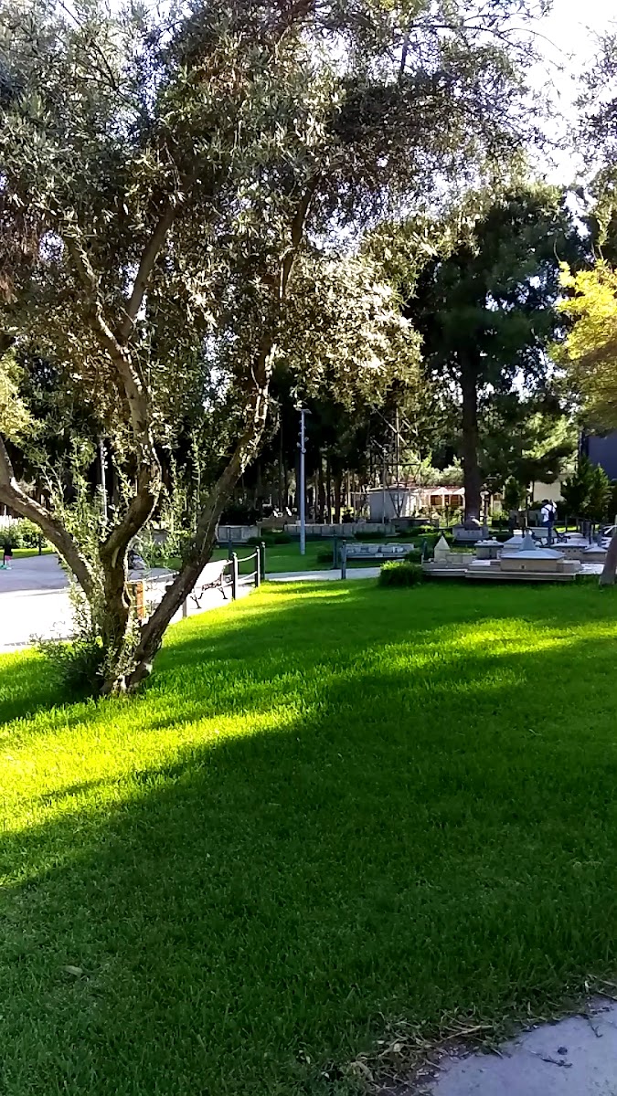 Dokumapark — fotoğraf 3