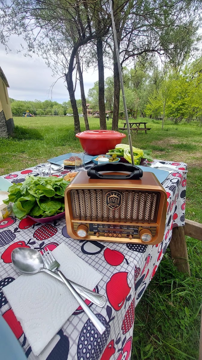 Dönmez ALABALIK TESISLERI — fotoğraf