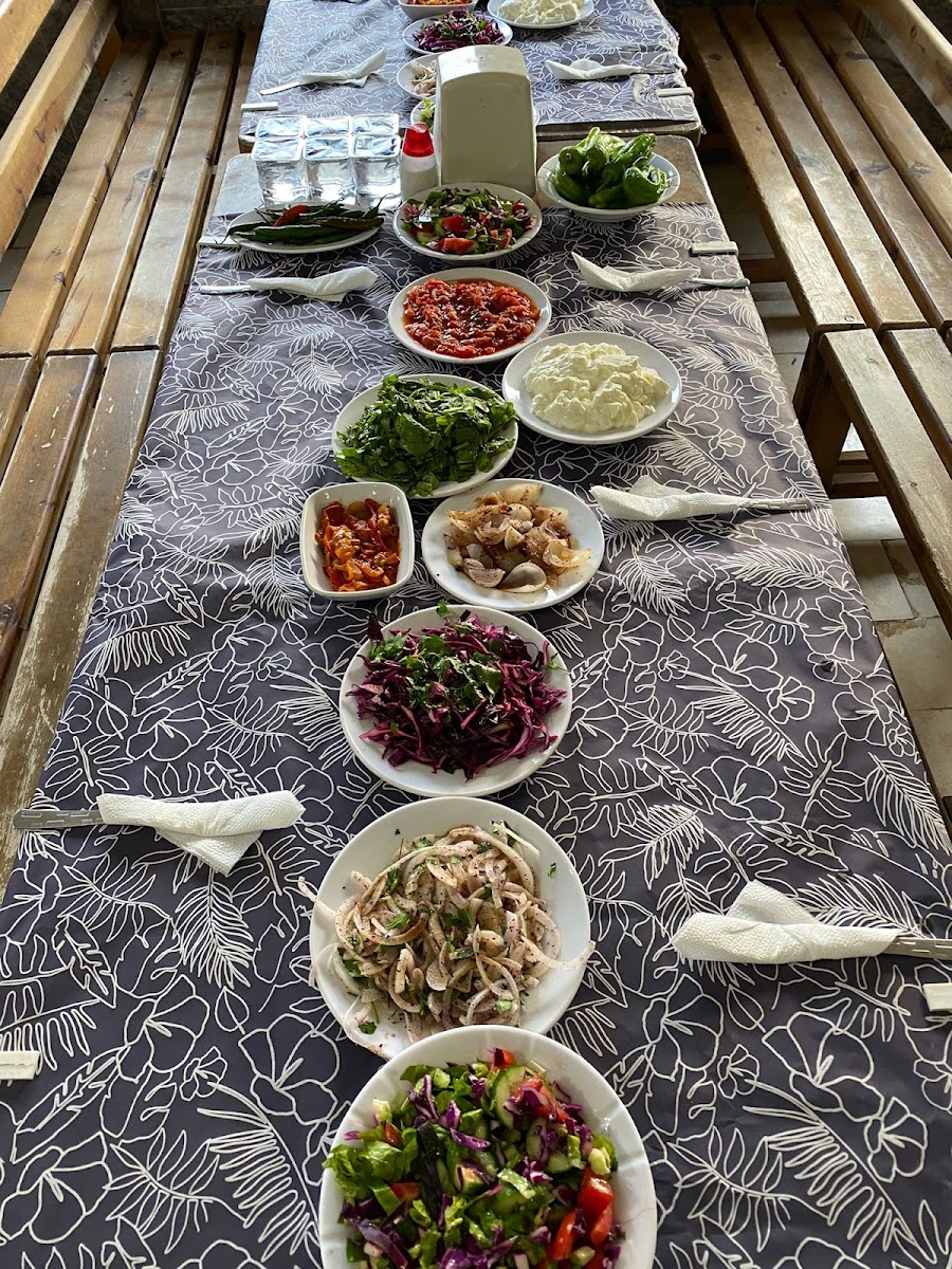 Dönmez ALABALIK TESISLERI — fotoğraf 2