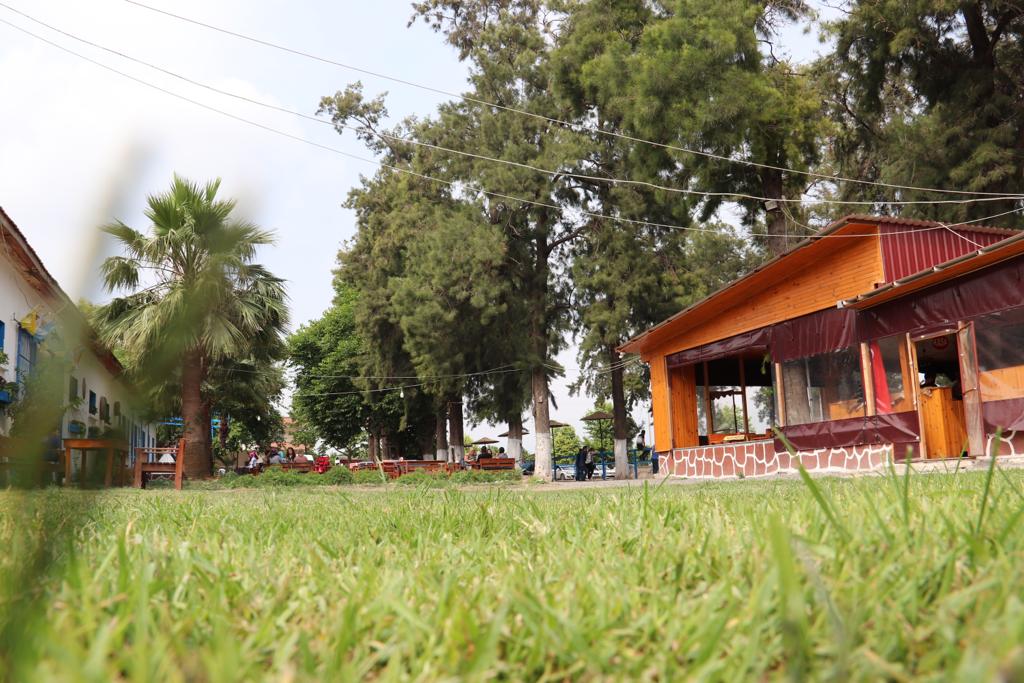 Dörtyol Atatürk At Çiftliği — fotoğraf 4