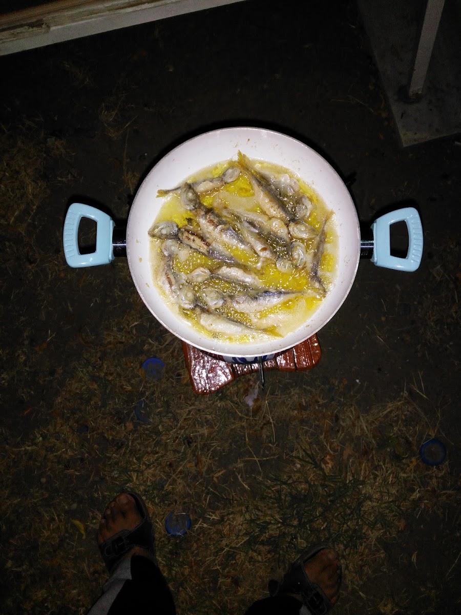 Doruk Camping — photo 4