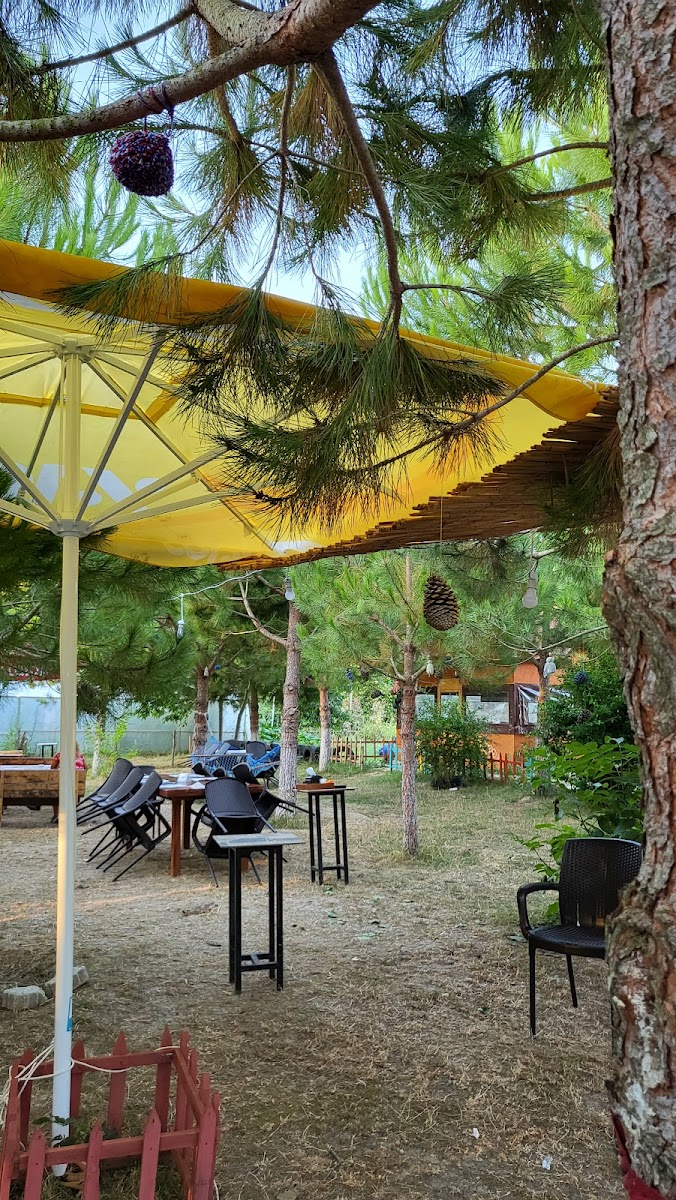 DOSTLAR ALABALIK & KAHVALTI — fotoğraf 5