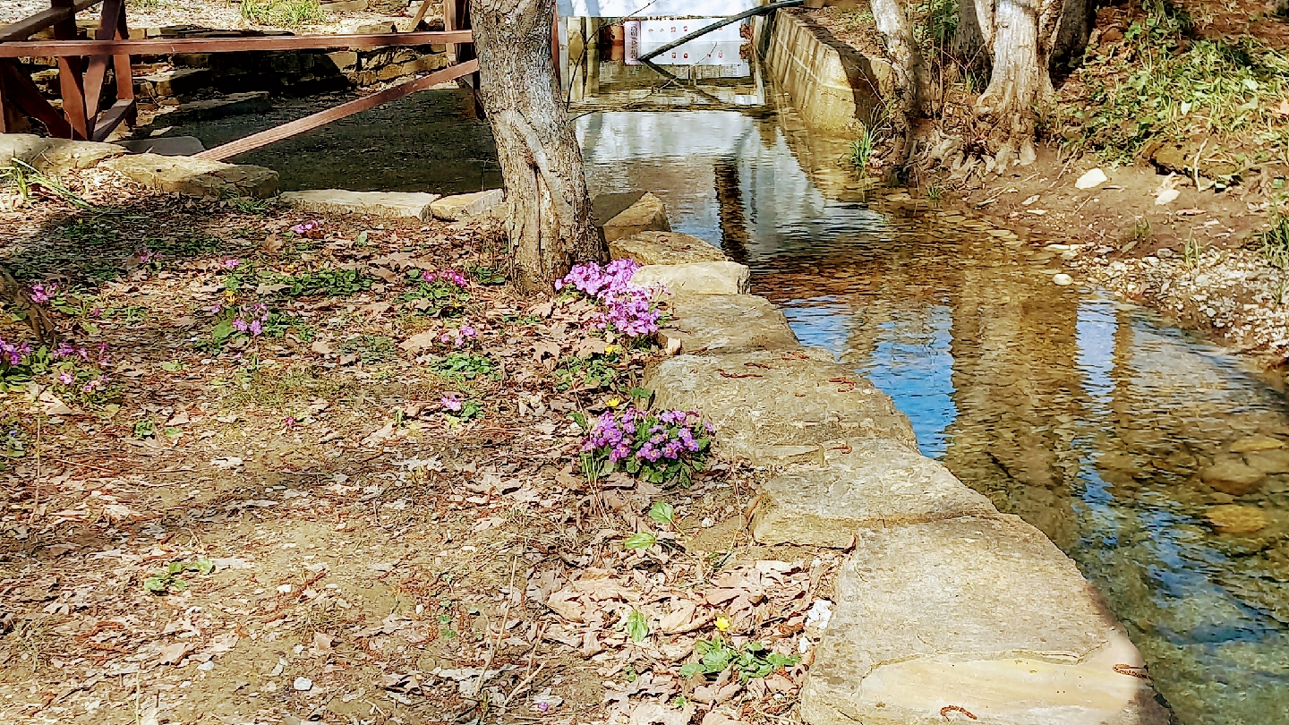 DOSTLAR ALABALIK & KAHVALTI — fotoğraf 6