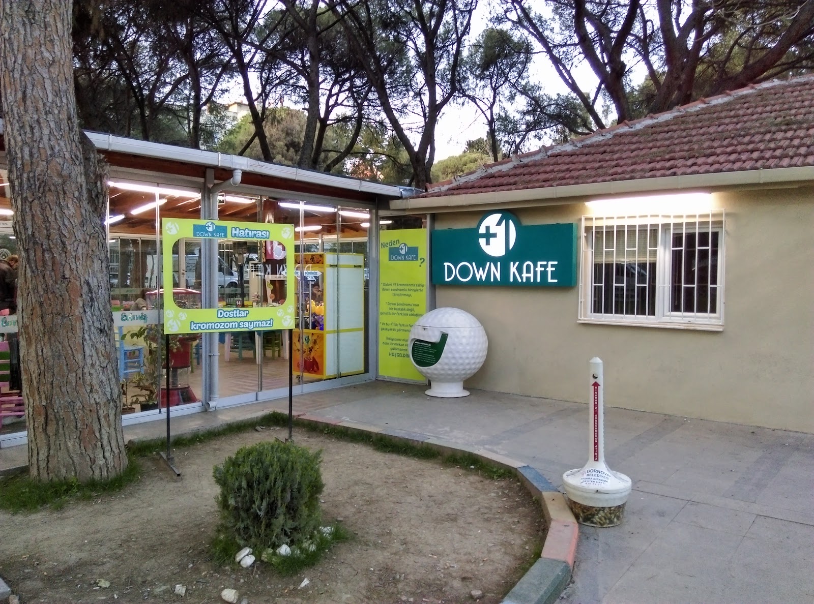Down Kafe — photo 2