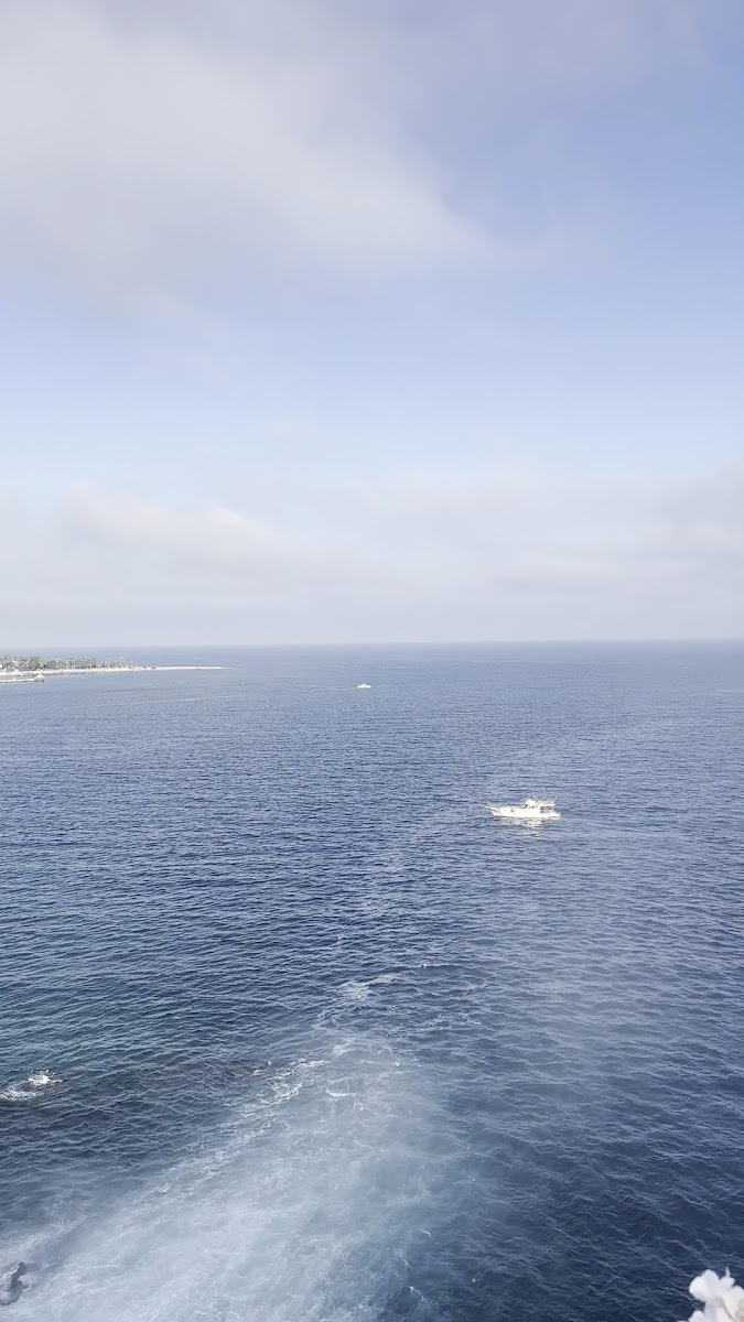 Düden Parkı — fotoğraf 3