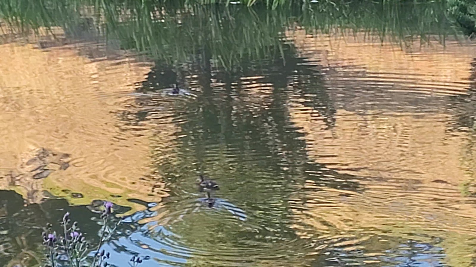 Dumanlı Tabiat Parkı — fotoğraf 3
