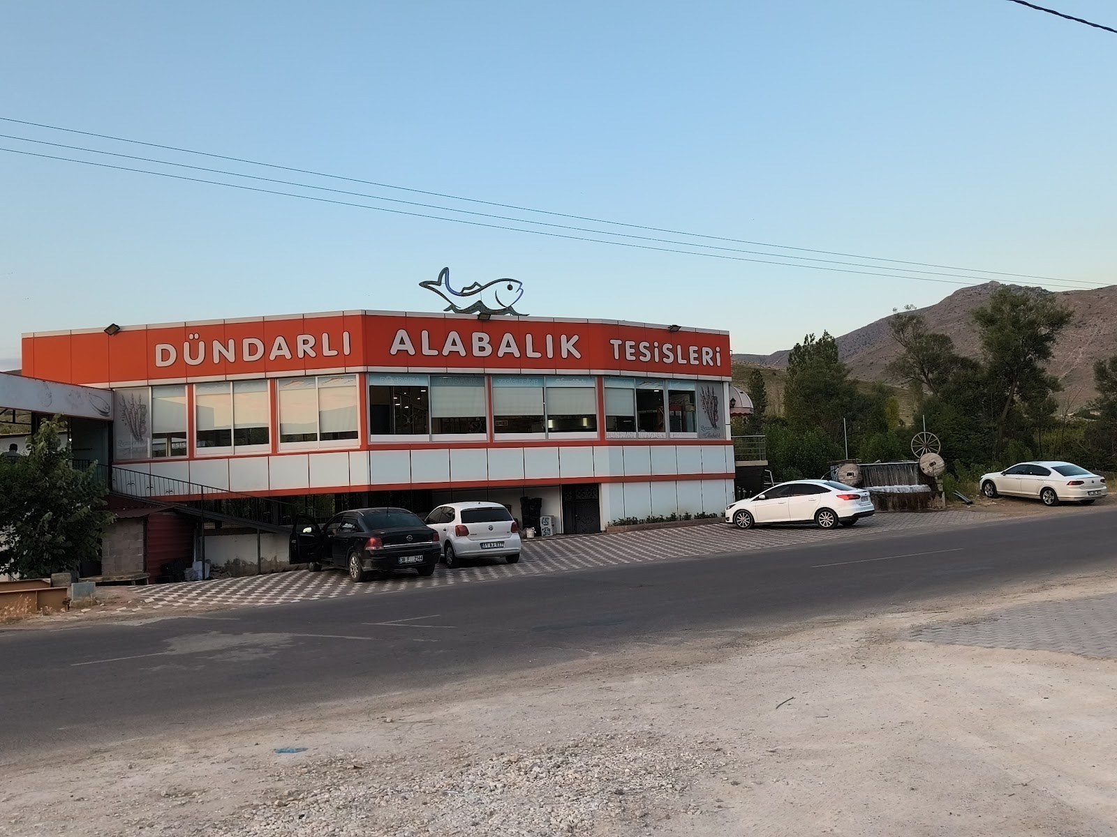 Dündarlı Alabalık — fotoğraf