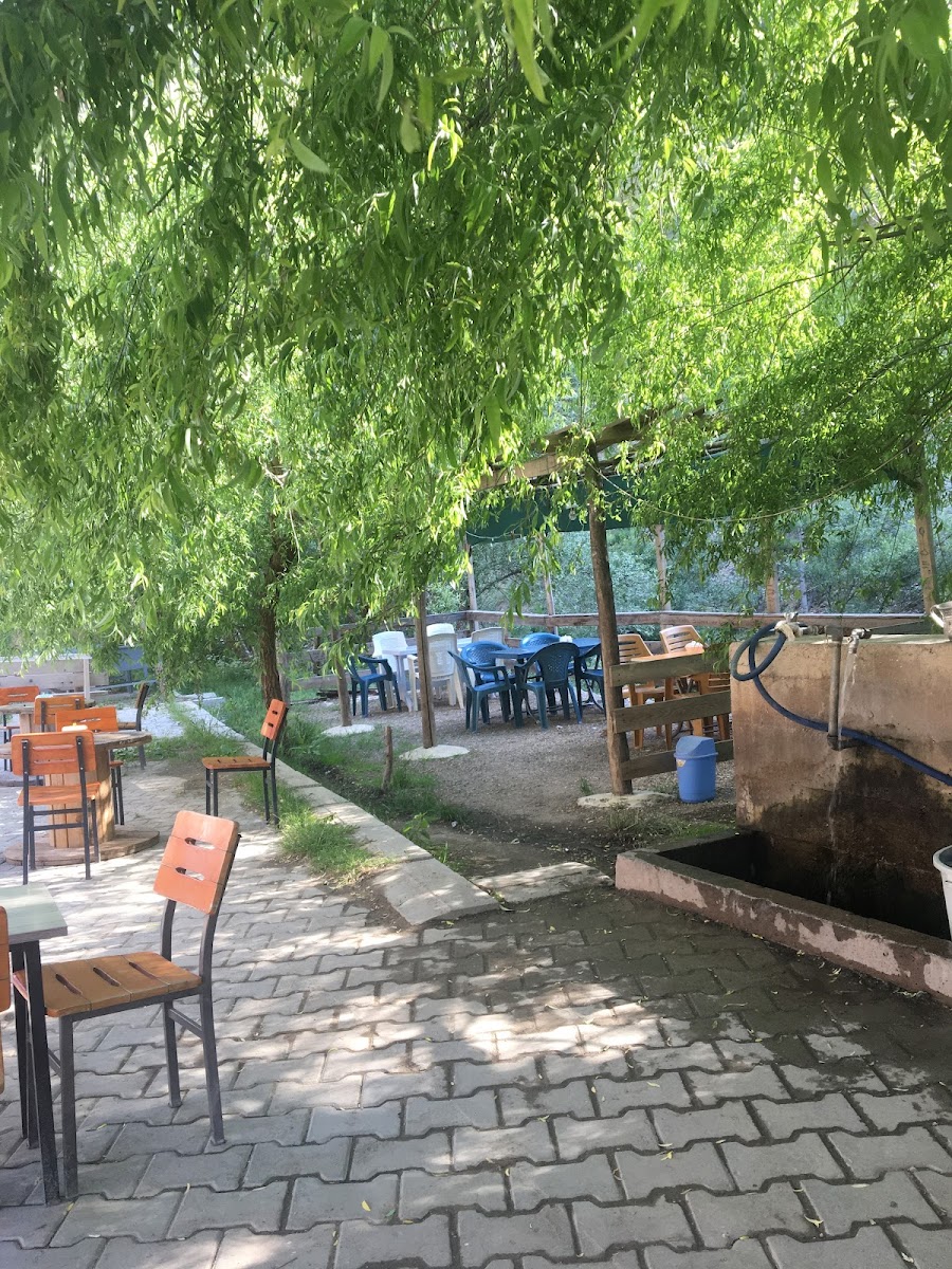 Dündül Ayağı Aile çay bahçesi ( Dayının Yeri) — fotoğraf 2