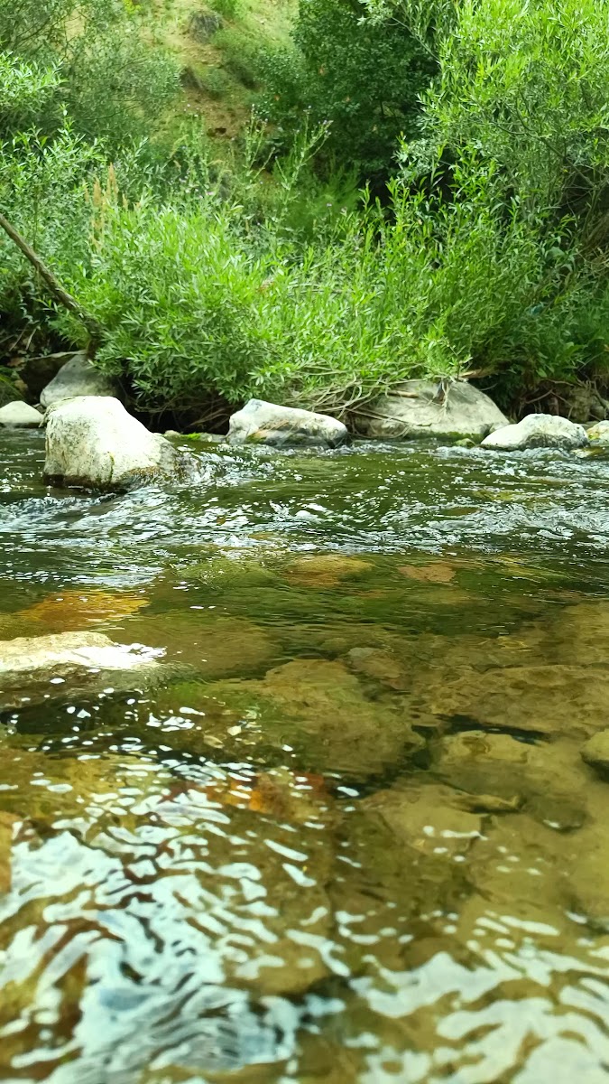 Dündül Ayağı Aile çay bahçesi ( Dayının Yeri) — fotoğraf 3