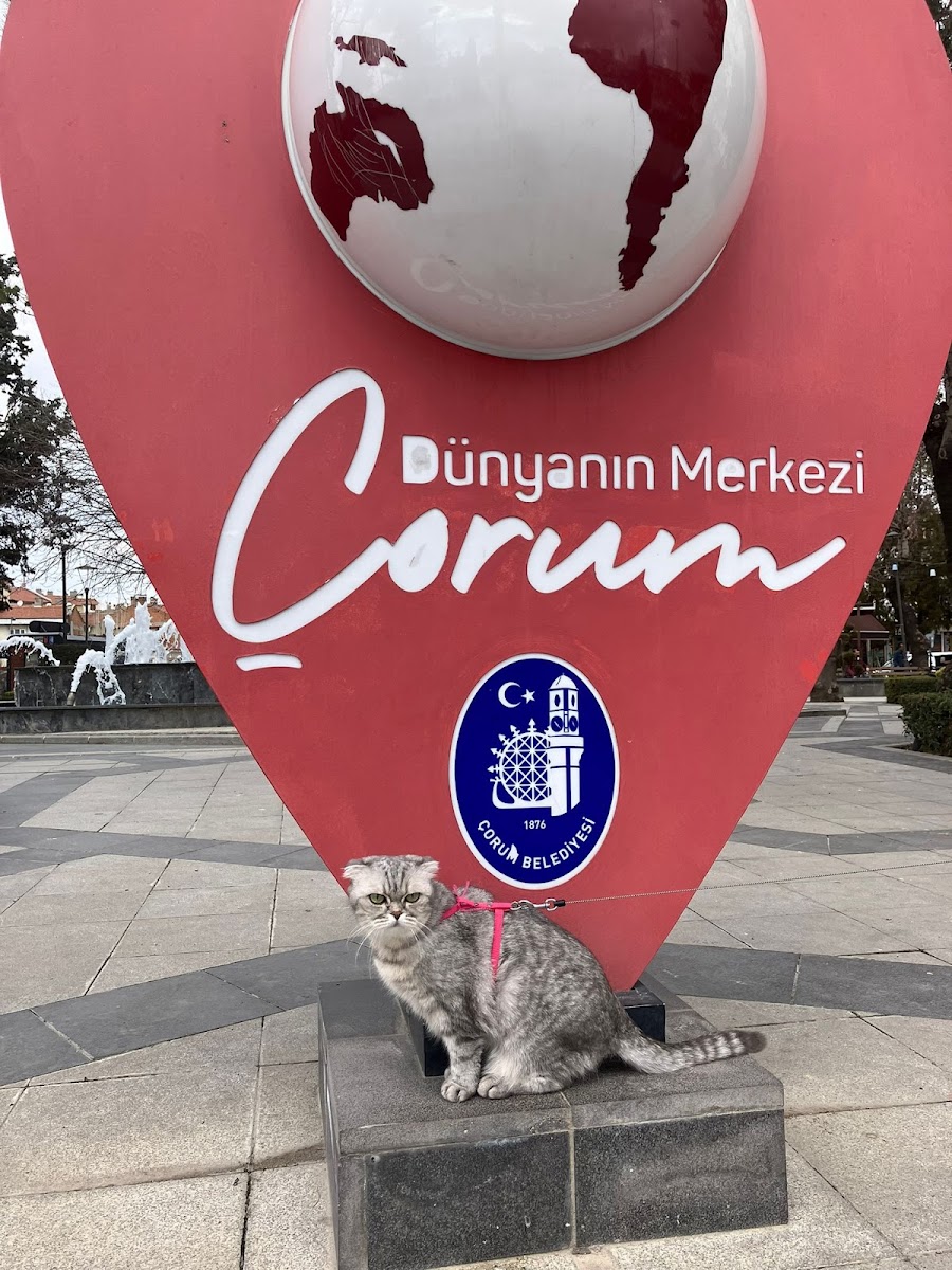 Dünyanın Merkezi — fotoğraf 2