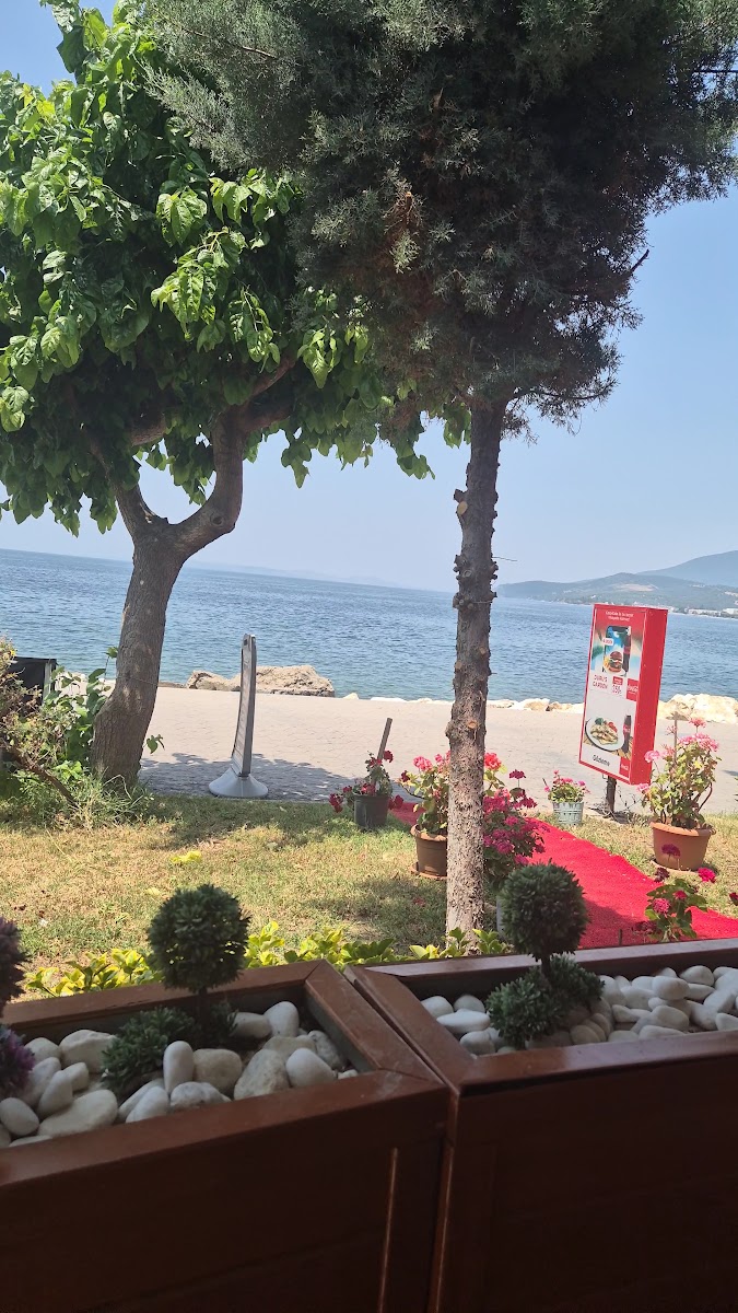 Duru's Garden — fotoğraf 3