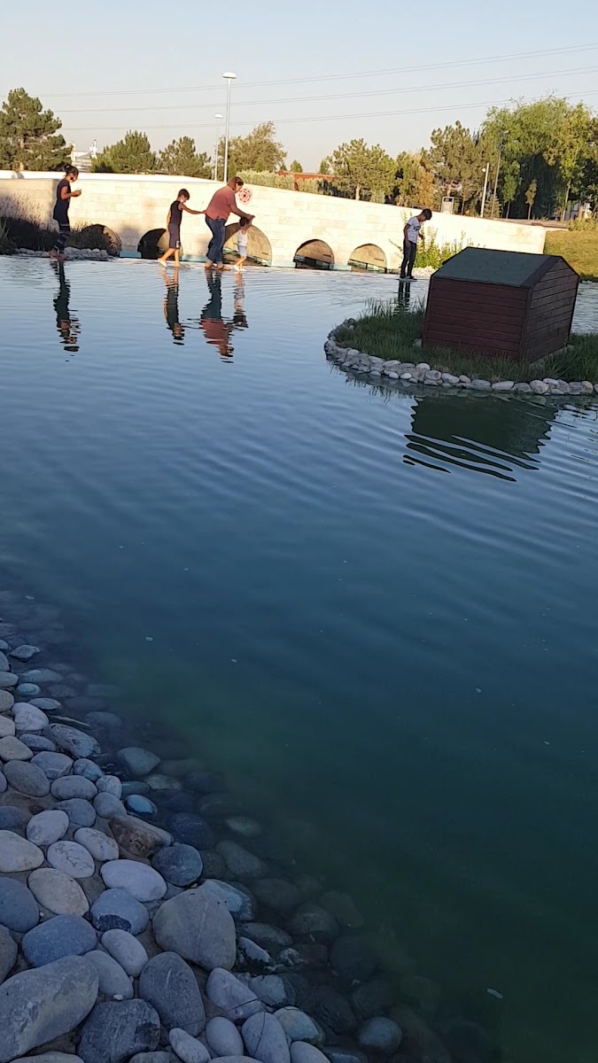 Dutlukır Parkı — fotoğraf 3