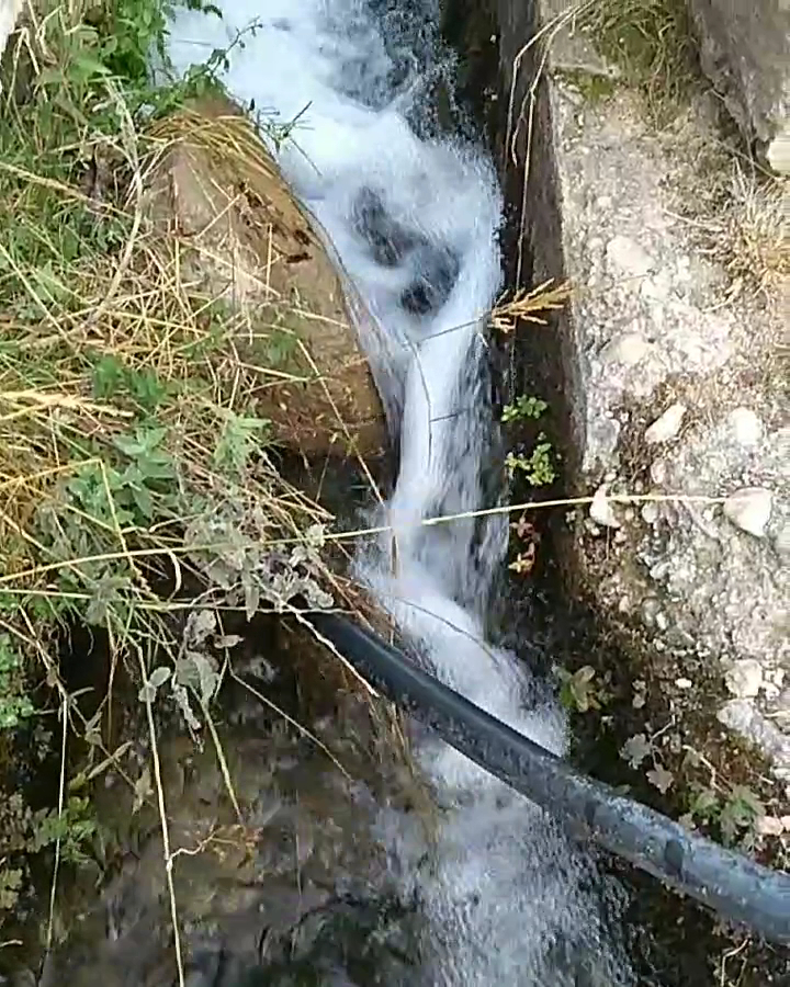 Ecemiş Alabalık — fotoğraf 3
