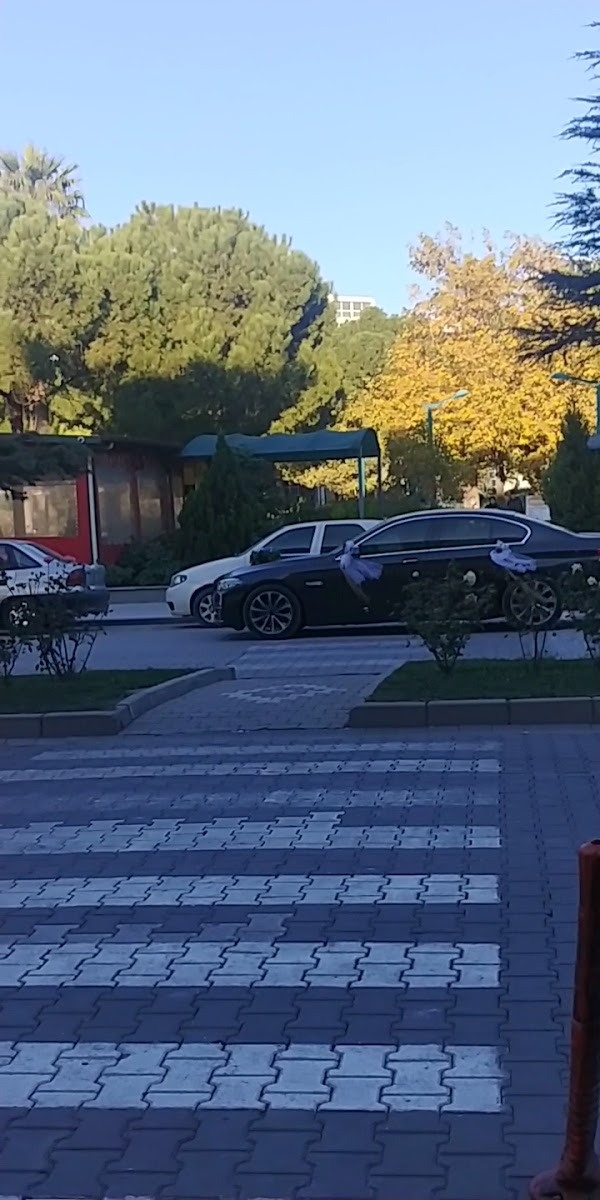 Edremit — photo 2
