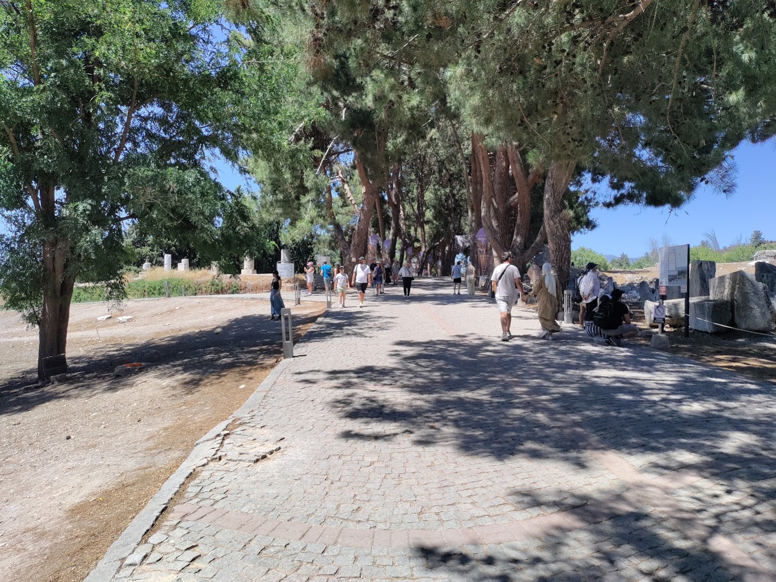 Efes Antik Kenti — fotoğraf 4