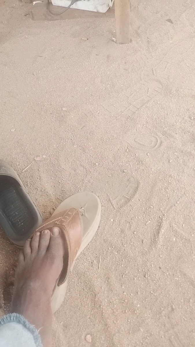 Efes Arkeolojik Alanı — fotoğraf 2