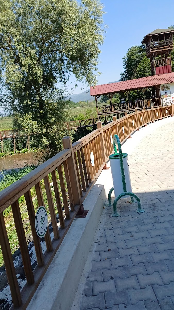 Efteni Gölü İskele — fotoğraf 3