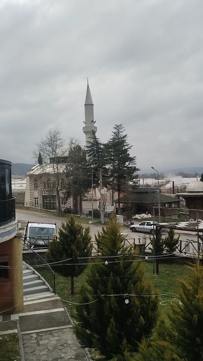 Ege Palace Termal Hotel — fotoğraf 2