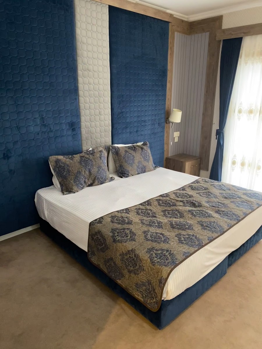 Ege Palace Termal Hotel — fotoğraf 3