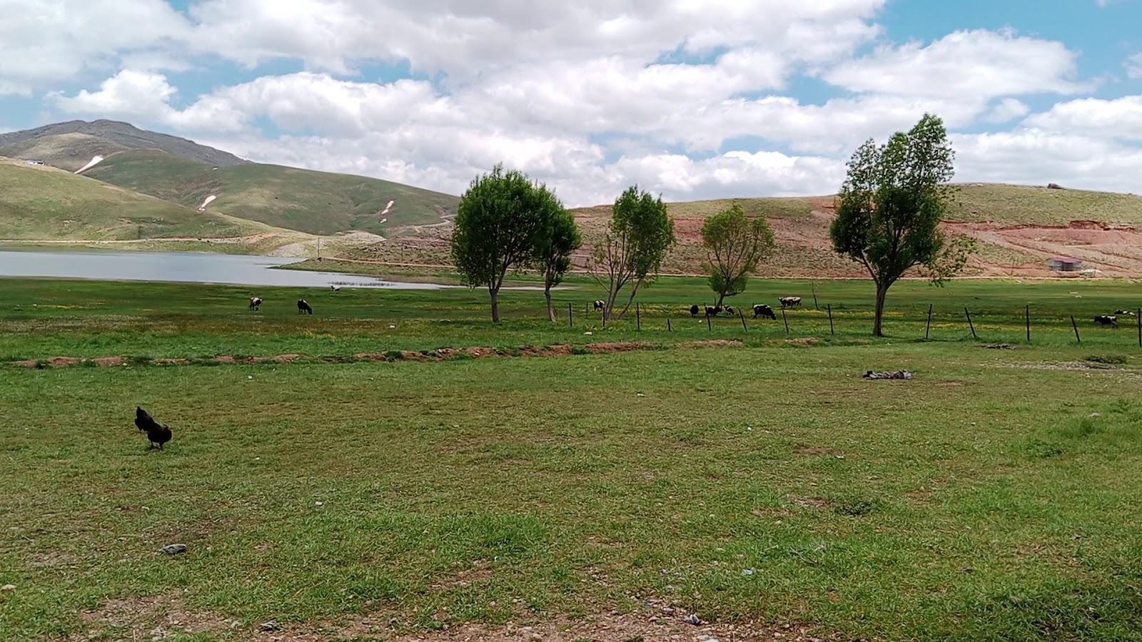 Eğrigöl Yaylası Güzelbağ — fotoğraf 3