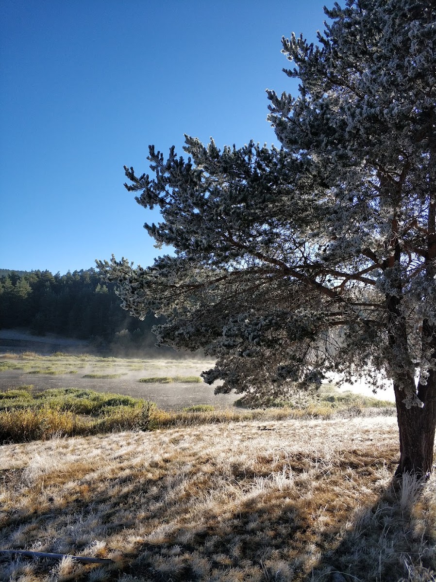 Eğriova Tabiat Parkı — fotoğraf