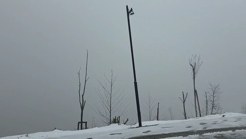 Ekmekçiler Mahallesi Isırlık Tabiat Parkı — fotoğraf 2