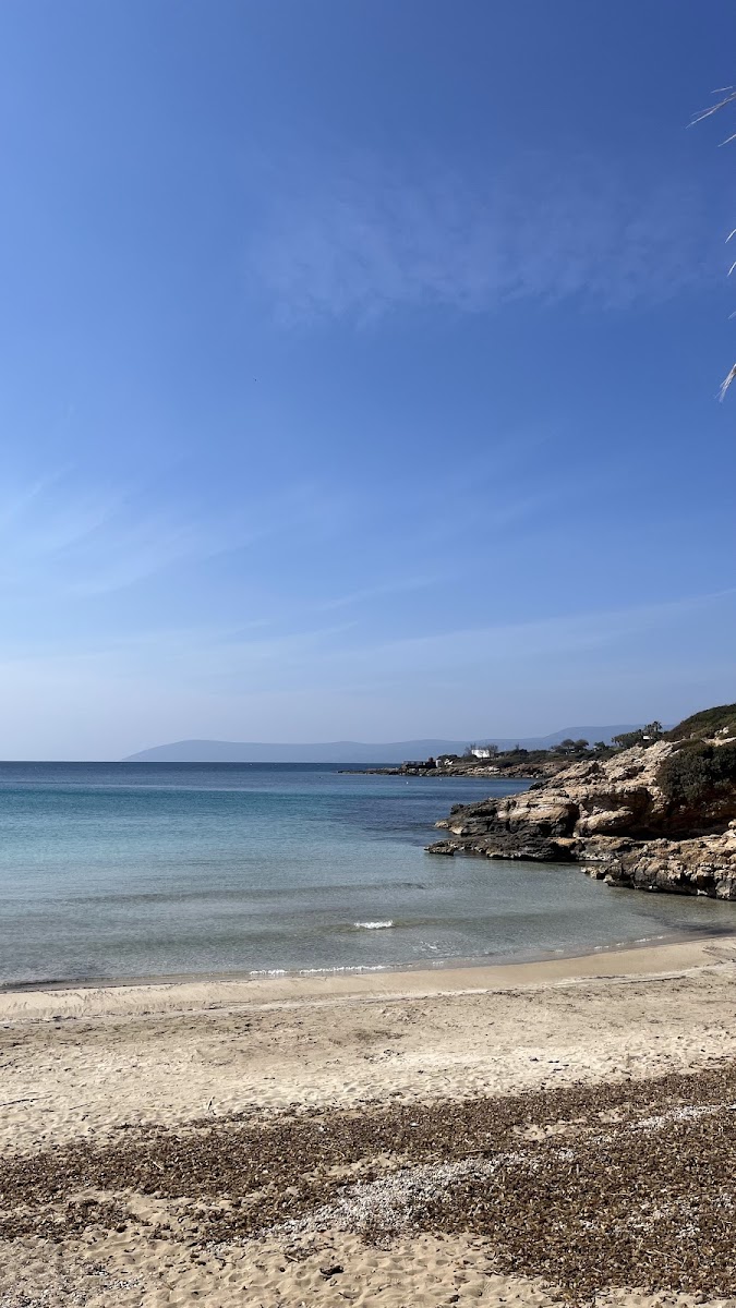 Ekmeksiz Tabiat Parkı — fotoğraf 2