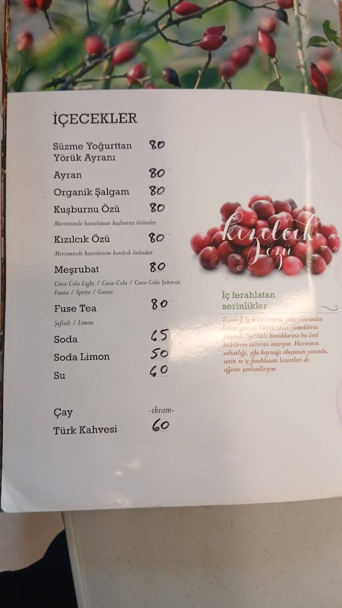 Ekrem Usta-Etin Ustası-Yenimahalle Restaurant — fotoğraf 4